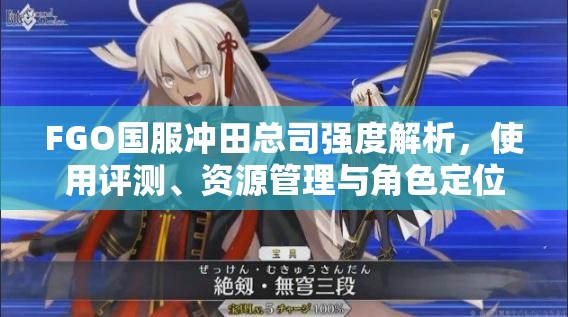 FGO国服冲田总司强度解析，使用评测、资源管理与角色定位详解