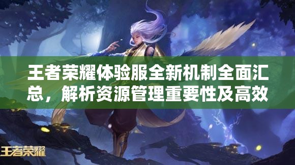 王者荣耀体验服全新机制全面汇总，解析资源管理重要性及高效实战运用策略