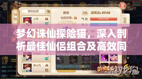 梦幻诛仙探险猫，深入剖析最佳仙侣组合及高效同游策略技巧