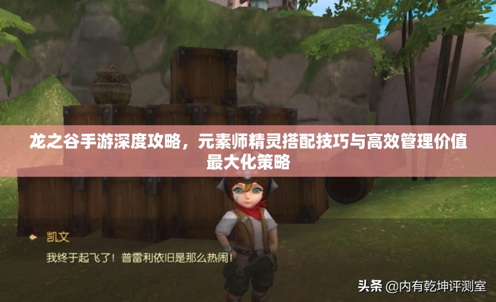 龙之谷手游深度攻略，元素师精灵搭配技巧与高效管理价值最大化策略