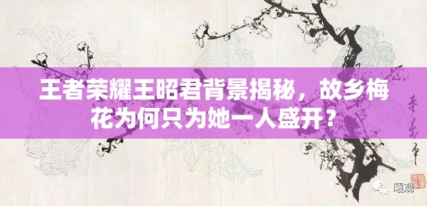 王者荣耀王昭君背景揭秘，故乡梅花为何只为她一人盛开？