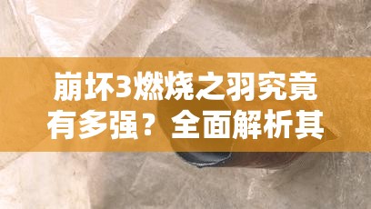 崩坏3燃烧之羽究竟有多强？全面解析其技能属性图鉴深度攻略