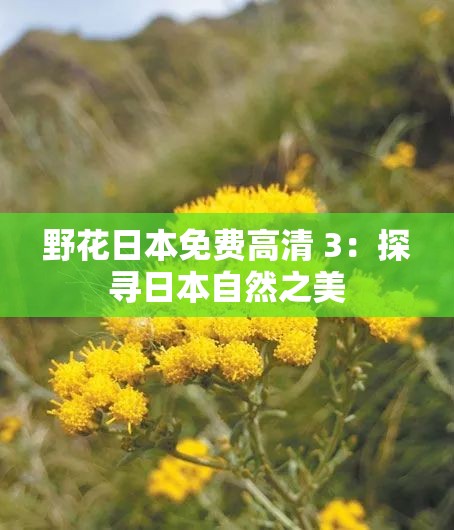 野花日本免费高清 3：探寻日本自然之美