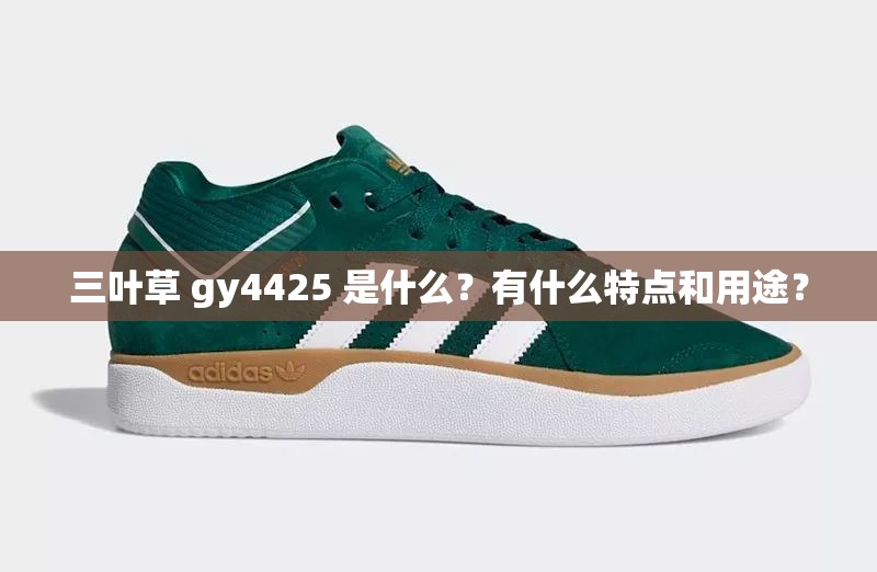 三叶草 gy4425 是什么？有什么特点和用途？