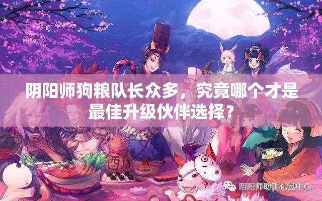 阴阳师狗粮队长众多，究竟哪个才是最佳升级伙伴选择？
