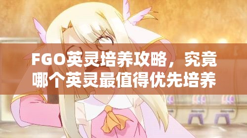 FGO英灵培养攻略，究竟哪个英灵最值得优先培养，培养优先级如何？