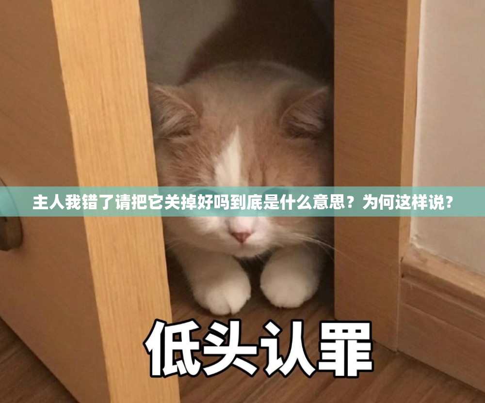 主人我错了请把它关掉好吗到底是什么意思？为何这样说？