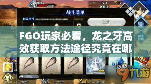 FGO玩家必看，龙之牙高效获取方法途径究竟在哪里？