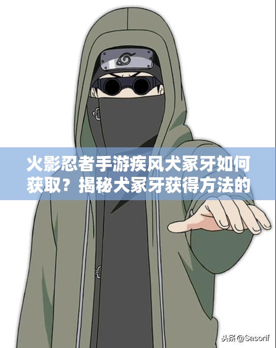 火影忍者手游疾风犬冢牙如何获取？揭秘犬冢牙获得方法的全面攻略