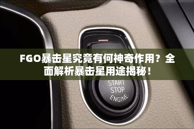 FGO暴击星究竟有何神奇作用？全面解析暴击星用途揭秘！