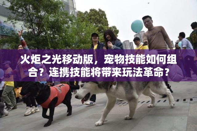 火炬之光移动版，宠物技能如何组合？连携技能将带来玩法革命？