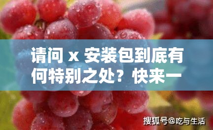 请问 x 安装包到底有何特别之处？快来一探究竟并了解其详细信息