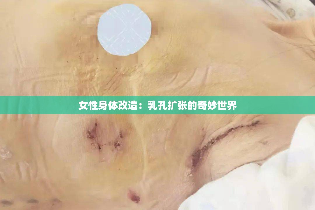 女性身体改造：乳孔扩张的奇妙世界