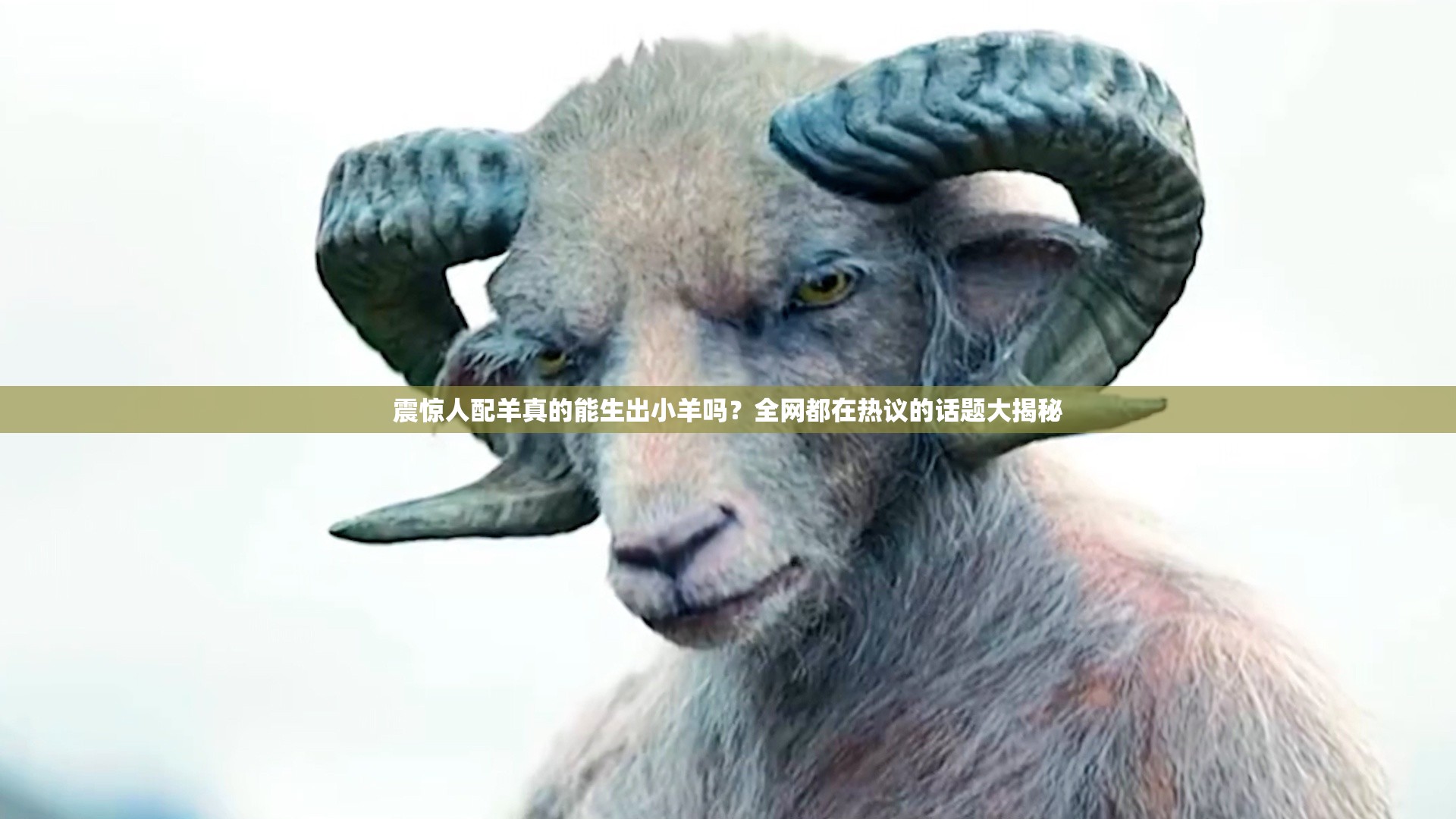 震惊人配羊真的能生出小羊吗？全网都在热议的话题大揭秘