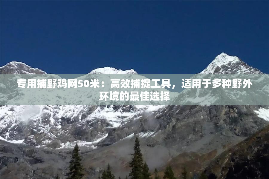专用捕野鸡网50米：高效捕捉工具，适用于多种野外环境的最佳选择