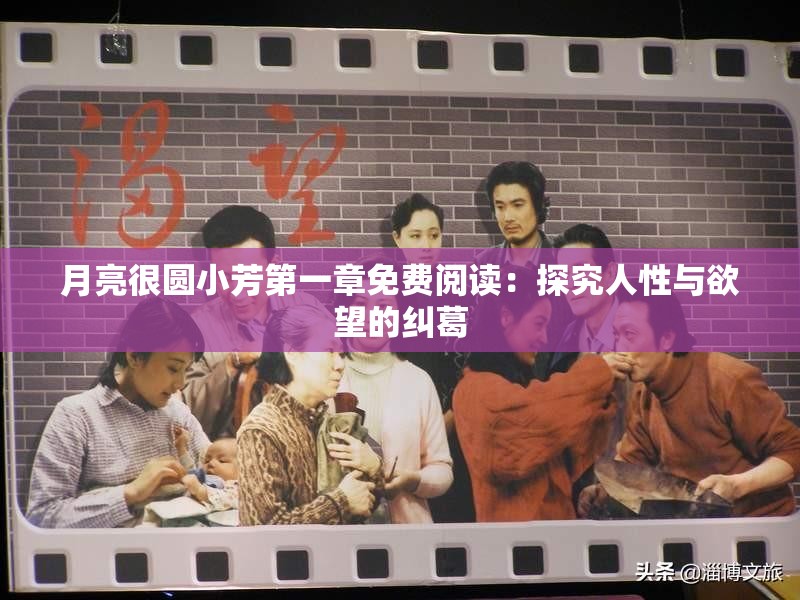 月亮很圆小芳第一章免费阅读：探究人性与欲望的纠葛