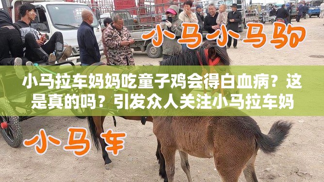 小马拉车妈妈吃童子鸡会得白血病？这是真的吗？引发众人关注小马拉车妈妈吃童子鸡会得白血病？真相究竟如何？小马拉车妈妈吃童子鸡会得白血病？此说法有无科学依据？