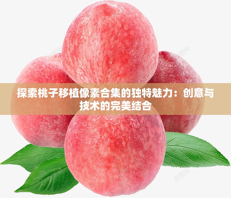 探索桃子移植像素合集的独特魅力：创意与技术的完美结合