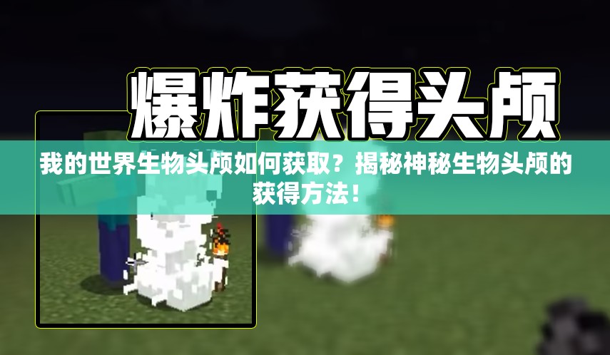 我的世界生物头颅如何获取？揭秘神秘生物头颅的获得方法！