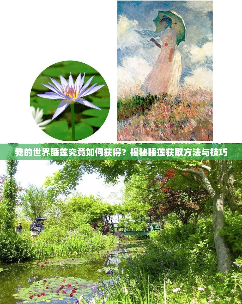 我的世界睡莲究竟如何获得？揭秘睡莲获取方法与技巧