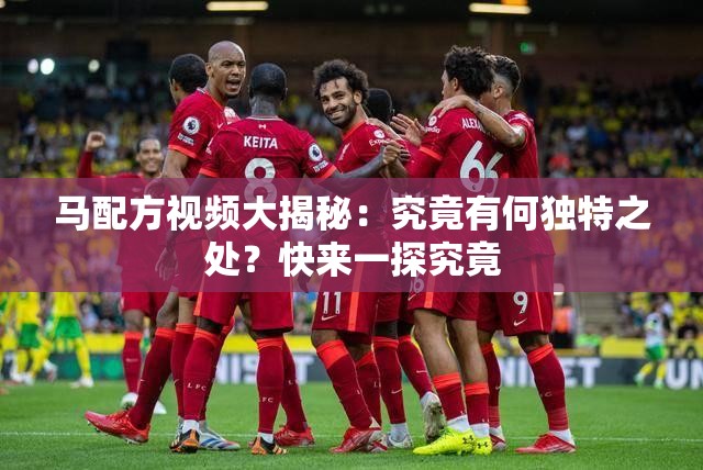 马配方视频大揭秘：究竟有何独特之处？快来一探究竟