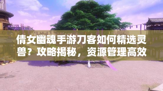 倩女幽魂手游刀客如何精选灵兽？攻略揭秘，资源管理高效利用，价值最大化？