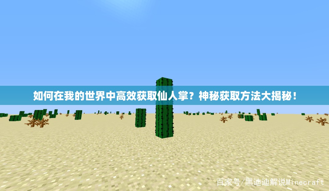如何在我的世界中高效获取仙人掌？神秘获取方法大揭秘！