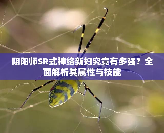 阴阳师SR式神络新妇究竟有多强？全面解析其属性与技能