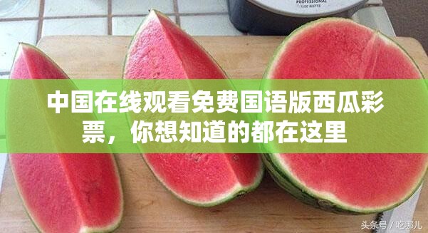 中国在线观看免费国语版西瓜彩票，你想知道的都在这里