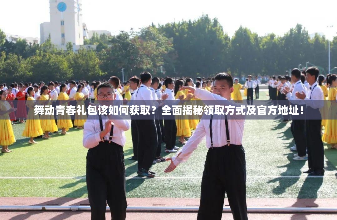 舞动青春礼包该如何获取？全面揭秘领取方式及官方地址！