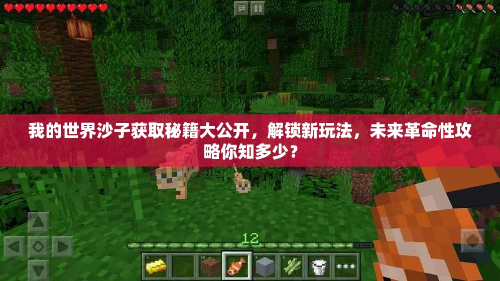 我的世界沙子获取秘籍大公开，解锁新玩法，未来革命性攻略你知多少？
