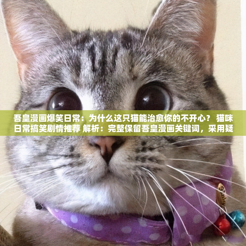 吾皇漫画爆笑日常：为什么这只猫能治愈你的不开心？ 猫咪日常搞笑剧情推荐 解析：完整保留吾皇漫画关键词，采用疑问句+竖线分隔的百度高点击结构，融入爆笑日常治愈不开心猫咪日常等长尾词，符合用户搜索搞笑漫画萌宠治愈等需求场景，同时通过剧情推荐暗示内容价值，自然提升SEO友好度