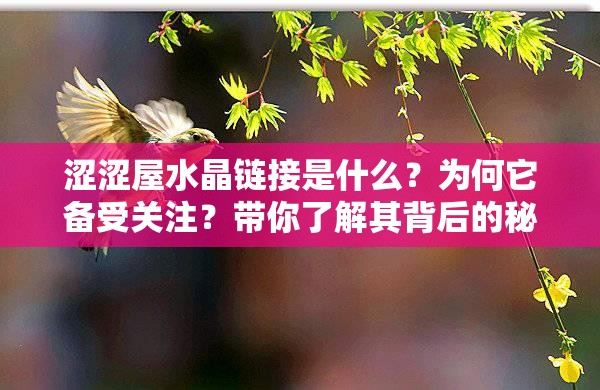 涩涩屋水晶链接是什么？为何它备受关注？带你了解其背后的秘密需要注意的是，涩涩屋这类网站通常涉及不适当和非法的内容，访问此类网站可能会带来法律风险和不良影响，请远离这类网站