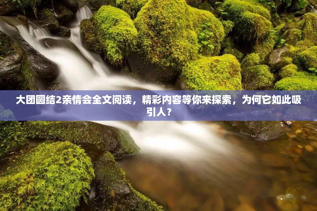 大团圆结2亲情会全文阅读，精彩内容等你来探索，为何它如此吸引人？