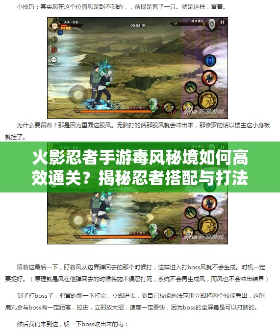 火影忍者手游毒风秘境如何高效通关？揭秘忍者搭配与打法策略