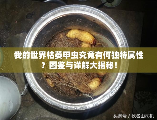 我的世界枯萎甲虫究竟有何独特属性？图鉴与详解大揭秘！
