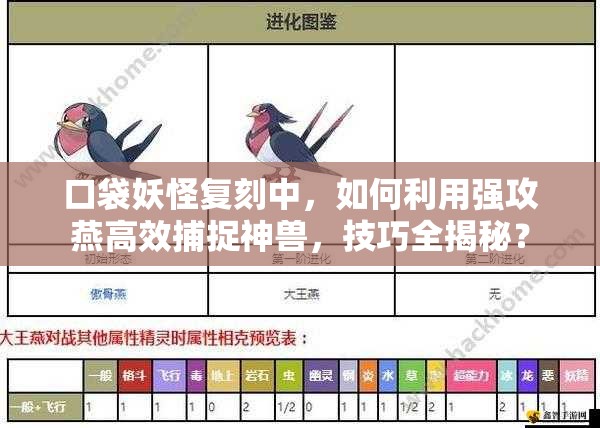 口袋妖怪复刻中，如何利用强攻燕高效捕捉神兽，技巧全揭秘？