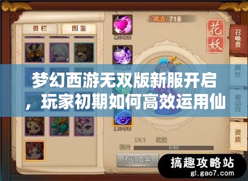 梦幻西游无双版新服开启，玩家初期如何高效运用仙玉成疑？