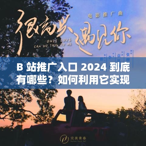 B 站推广入口 2024 到底有哪些？如何利用它实现更好的推广效果？