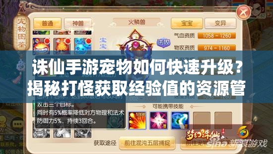 诛仙手游宠物如何快速升级？揭秘打怪获取经验值的资源管理秘诀