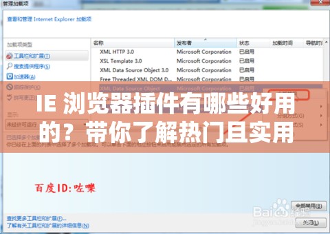 IE 浏览器插件有哪些好用的？带你了解热门且实用的 IE 浏览器插件