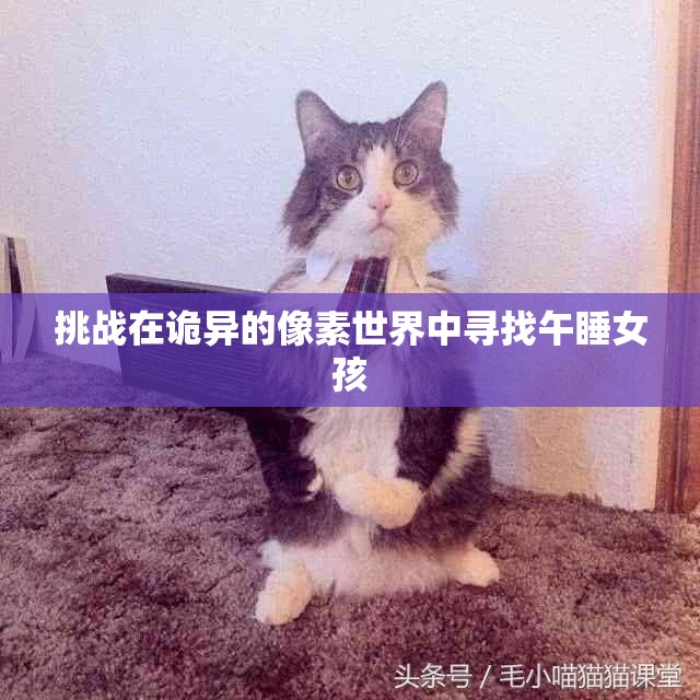 挑战在诡异的像素世界中寻找午睡女孩