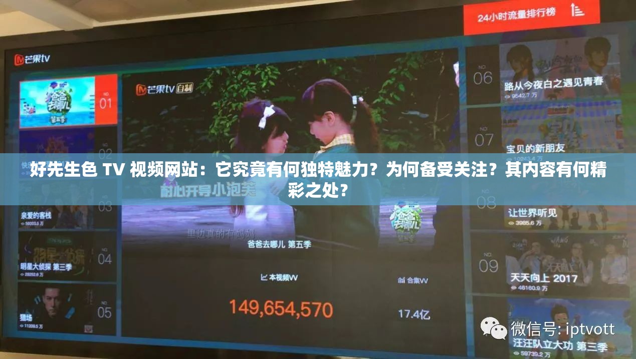 好先生色 TV 视频网站：它究竟有何独特魅力？为何备受关注？其内容有何精彩之处？
