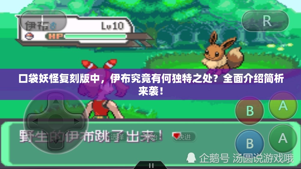 口袋妖怪复刻版中，伊布究竟有何独特之处？全面介绍简析来袭！