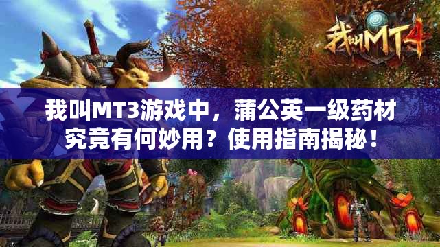 我叫MT3游戏中，蒲公英一级药材究竟有何妙用？使用指南揭秘！