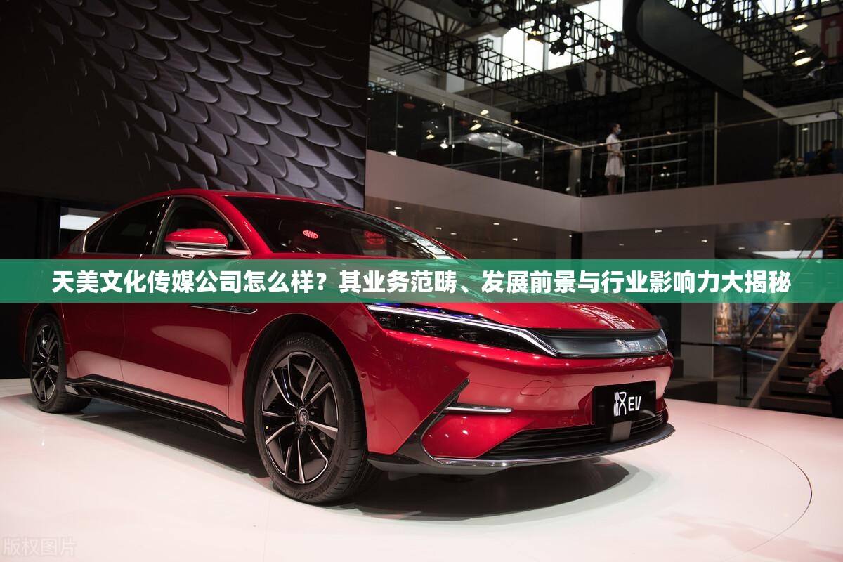 天美文化传媒公司怎么样？其业务范畴、发展前景与行业影响力大揭秘