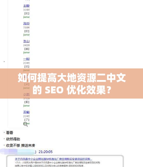 如何提高大地资源二中文的 SEO 优化效果？