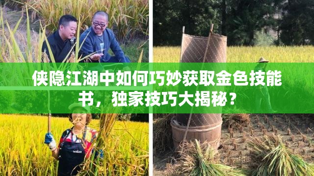 侠隐江湖中如何巧妙获取金色技能书，独家技巧大揭秘？