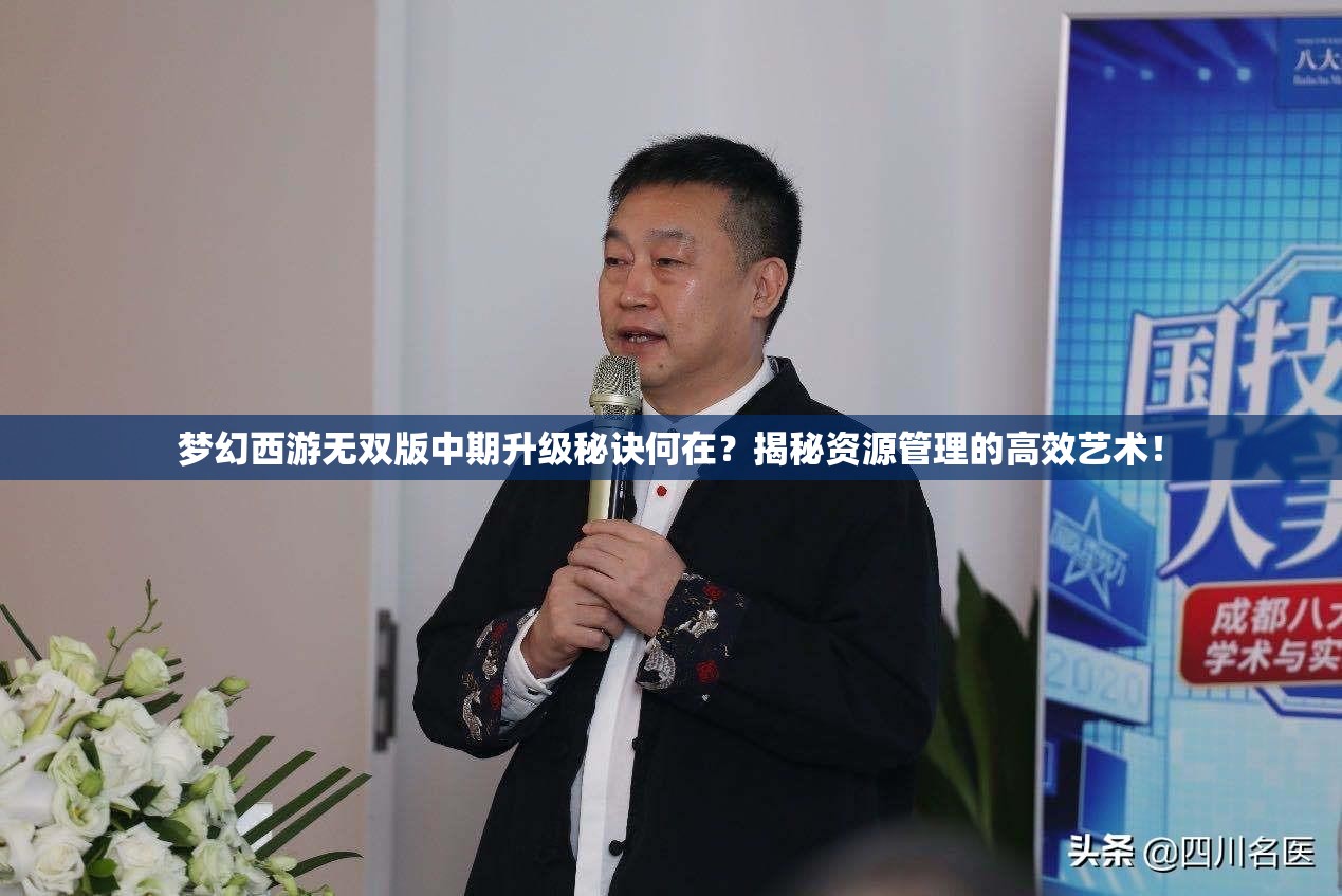 梦幻西游无双版中期升级秘诀何在？揭秘资源管理的高效艺术！