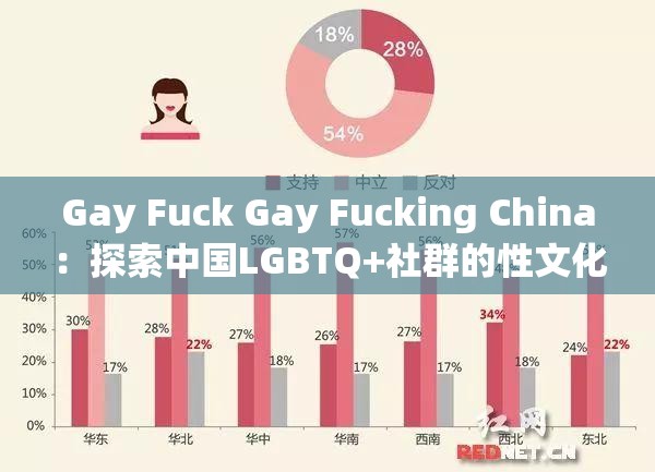Gay Fuck Gay Fucking China：探索中国LGBTQ+社群的性文化与社会认同现状
